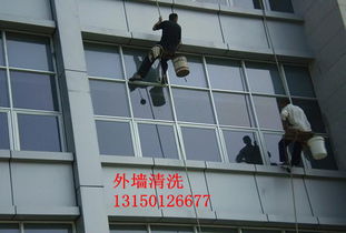 庆阳雅洁居家政保洁——专业保洁，品质之选